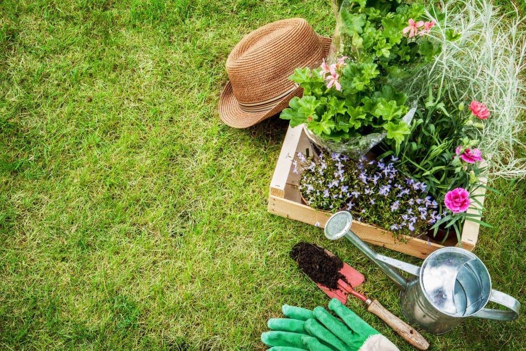 The Importance of Landscape Service: Keeping Your Yard in Top Shape